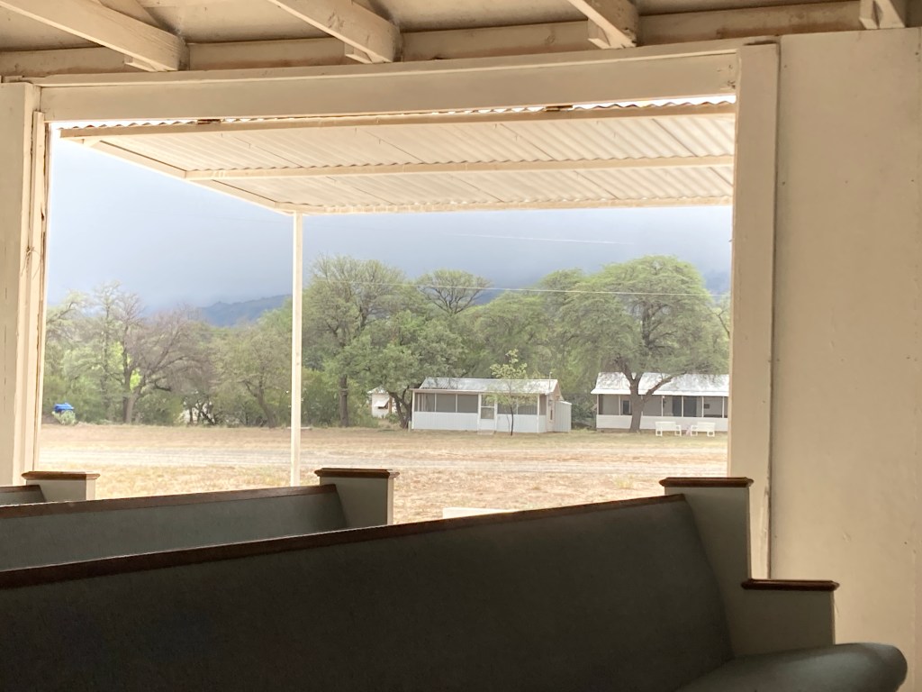 A Company of&nbsp;Grief