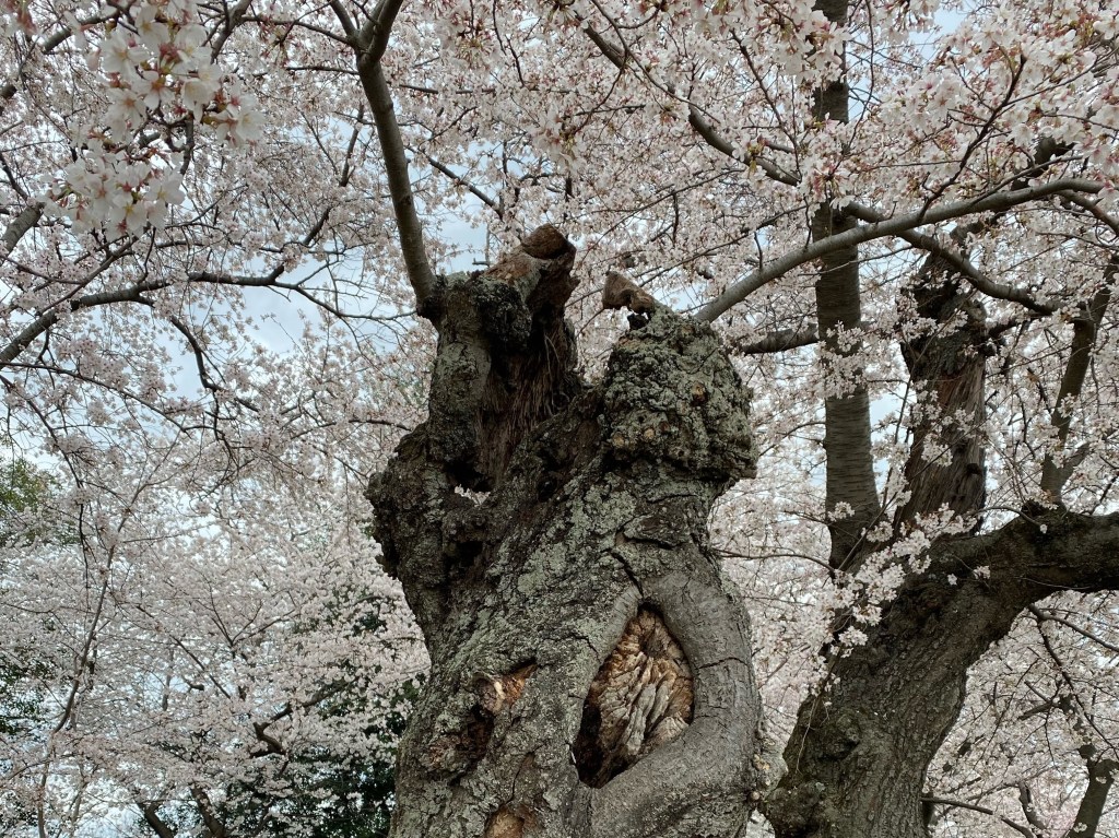 Work for the&nbsp;Good