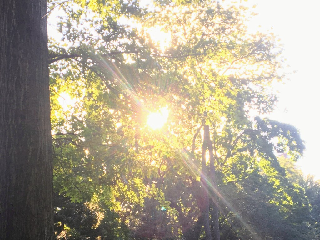 Every Time I Remember&nbsp;You…