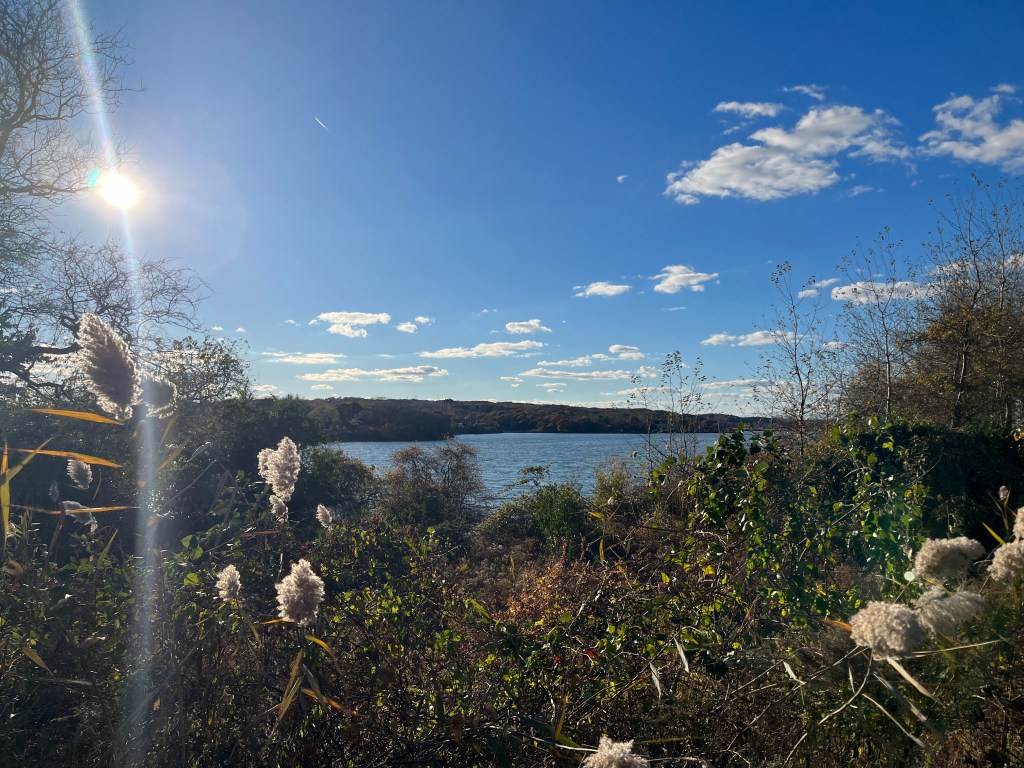 Do You Want to Be&nbsp;Happy?